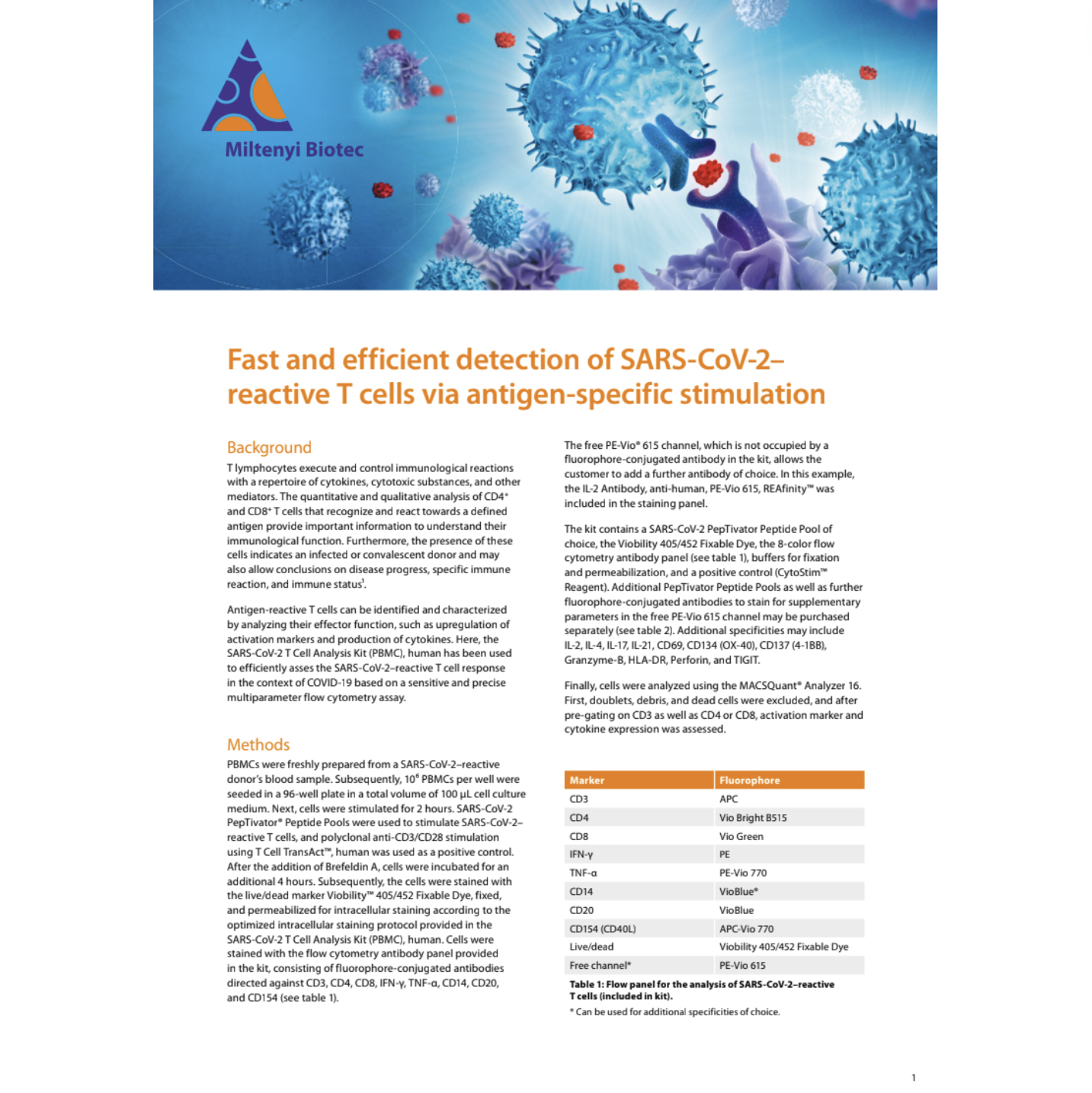SARS-CoV-2, T cells, Antigen simulation