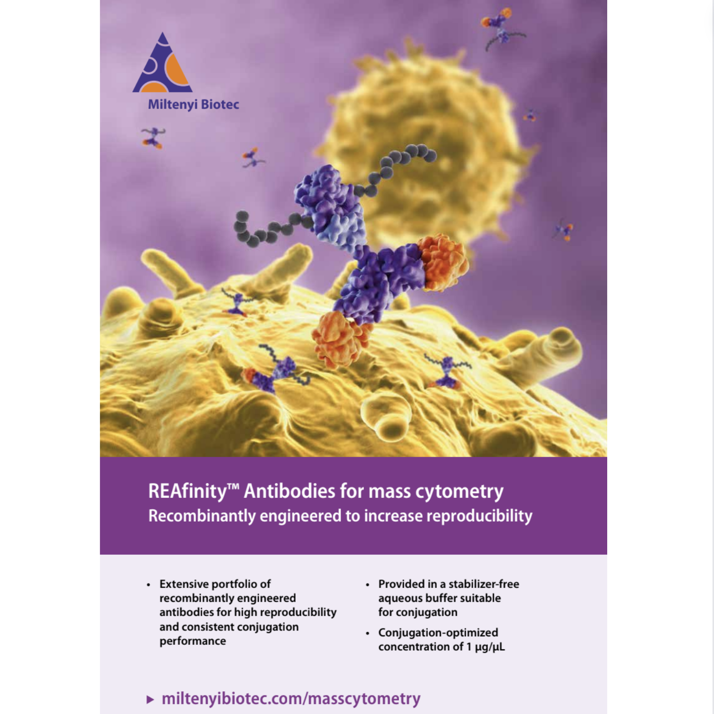 REAfinity, Antibodies, Recombinant, Mass cytometry